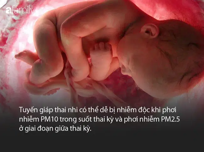 Nguy cơ thai chết lưu do PM2.5