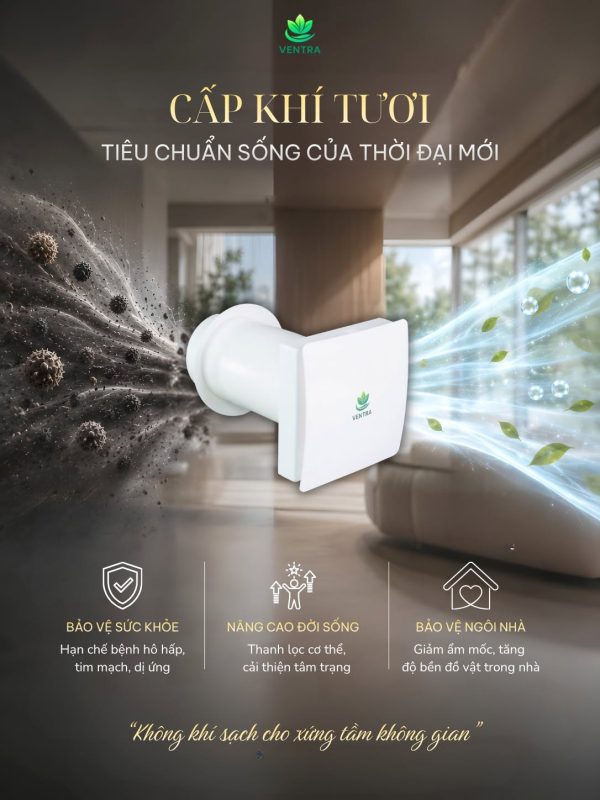 Người Già Bị Bệnh Hen Suyễn, Hô Hấp: Tại Sao Không Khí Sạch Quan Trọng Hơn Thuốc Bổ?